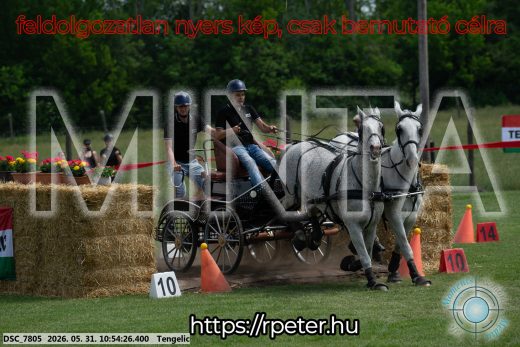 Mintakép 20260531-2287