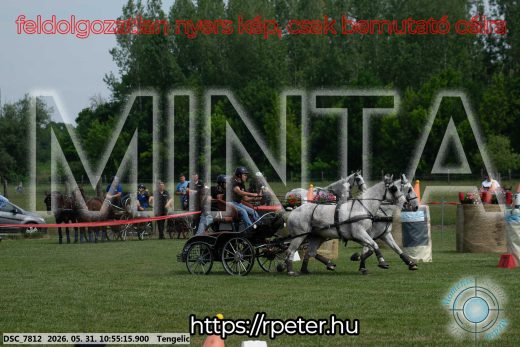 Mintakép 20260531-2292