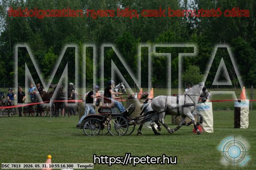 Mintakép 20260531-2293