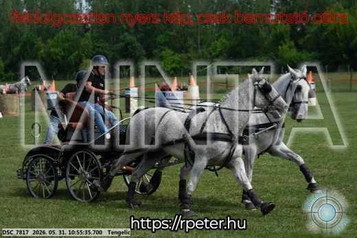 Mintakép 20260531-2296