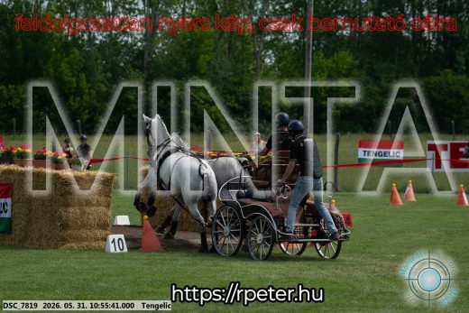 Mintakép 20260531-2298