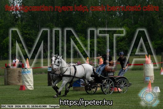 Mintakép 20260531-2304