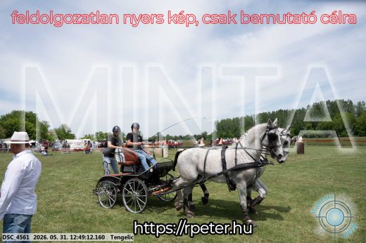 Mintakép 20260531-2308
