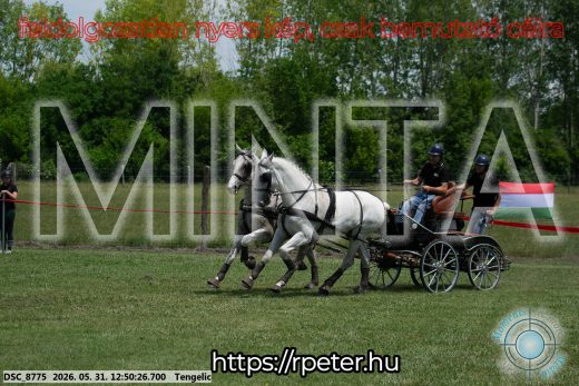 Mintakép 20260531-2310
