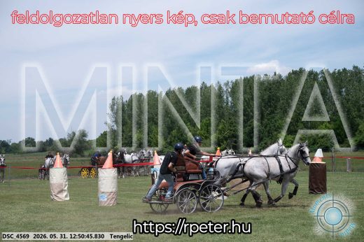 Mintakép 20260531-2313