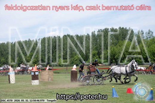 Mintakép 20260531-2314