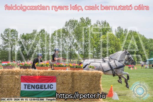 Mintakép 20260531-2317