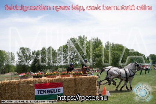 Mintakép 20260531-2318