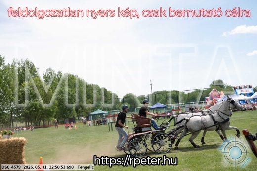 Mintakép 20260531-2321