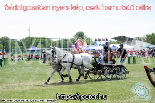 Mintakép 20260531-2337