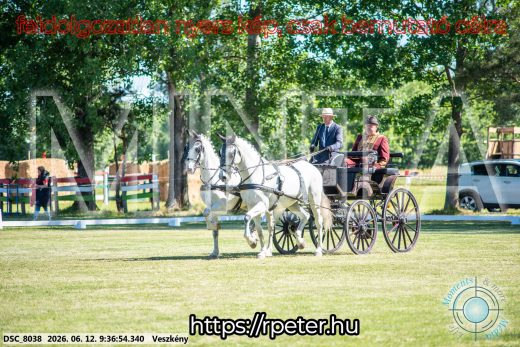 20260612-093654-DSC_8038.jpg