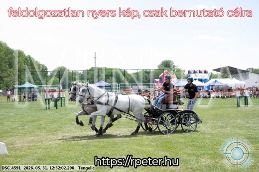 Mintakép 20260531-2338