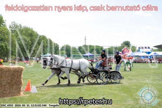 Mintakép 20260531-2339