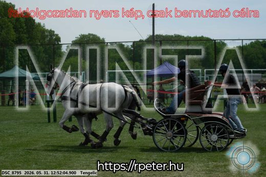Mintakép 20260531-2341