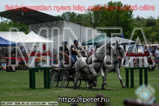 Mintakép 20260531-2345