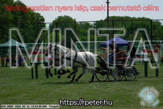 Mintakép 20260531-2348