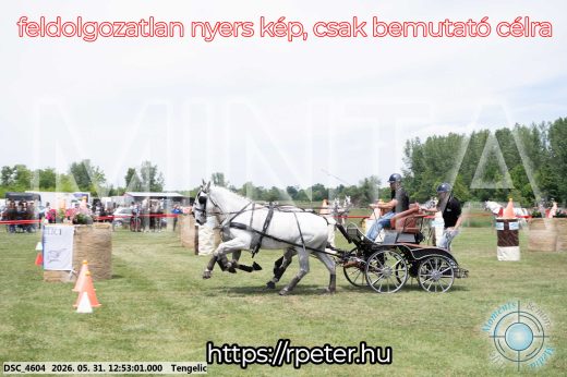 Mintakép 20260531-2547