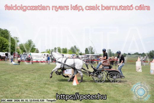 Mintakép 20260531-2548