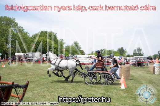 Mintakép 20260531-2549
