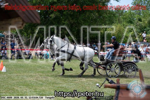 Mintakép 20260531-2550