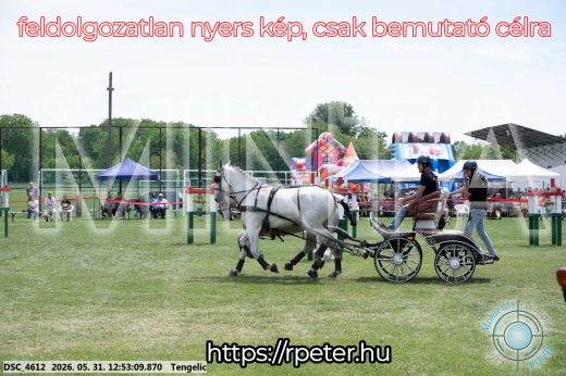 Mintakép 20260531-2552