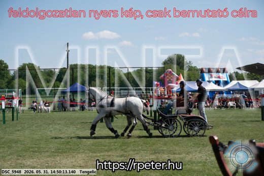 Mintakép 20260531-2558