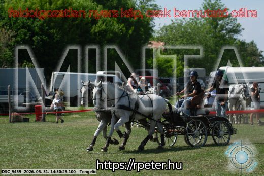 Mintakép 20260531-2560
