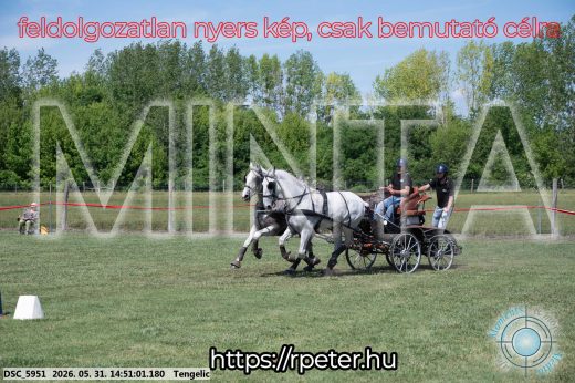 Mintakép 20260531-2561