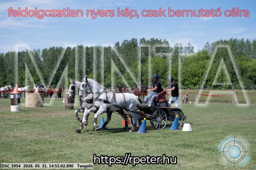 Mintakép 20260531-2564