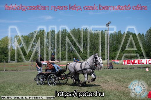 Mintakép 20260531-2567