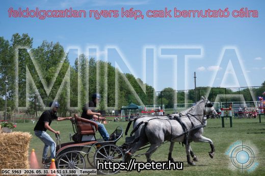 Mintakép 20260531-2569