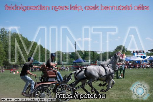 Mintakép 20260531-2570