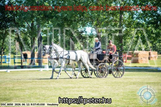 Mintakép 20260612-192