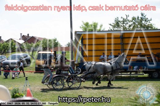 Mintakép 20260531-2571