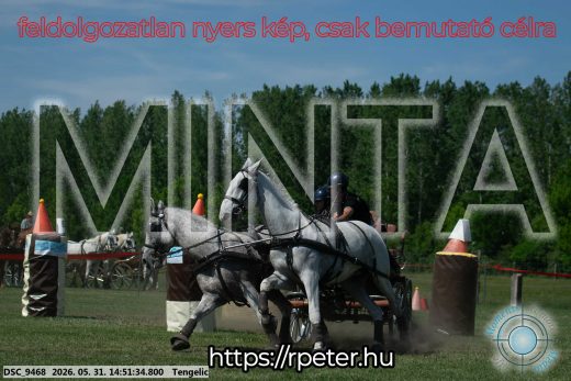 Mintakép 20260531-2572