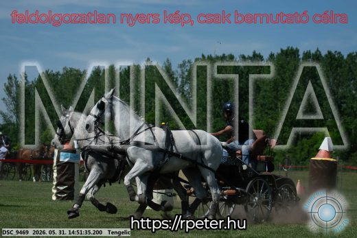Mintakép 20260531-2573