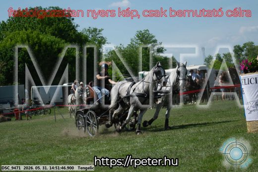 Mintakép 20260531-2574