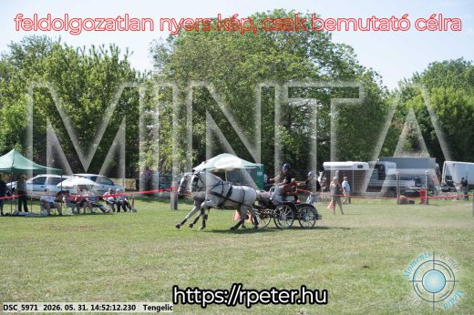 Mintakép 20260531-2576