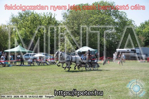 Mintakép 20260531-2577