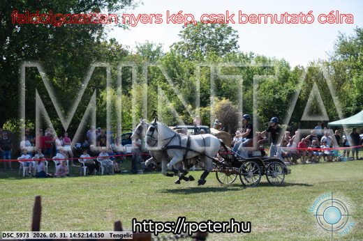 Mintakép 20260531-2578