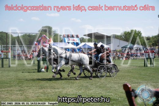 Mintakép 20260531-2580