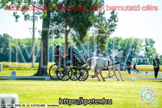 Mintakép 20260612-193