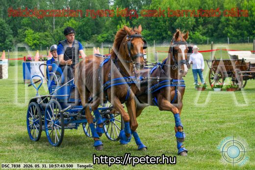 20260531-105743-DSC_7838.jpg