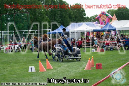 Mintakép 20260531-2585