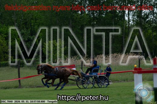 Mintakép 20260531-2586