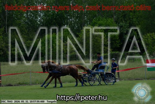 Mintakép 20260531-2589