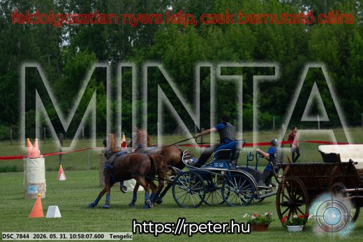 Mintakép 20260531-2590