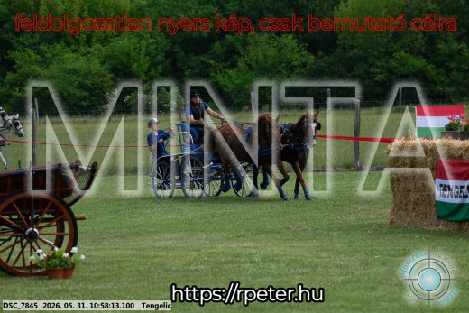 Mintakép 20260531-2591