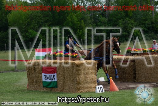 Mintakép 20260531-2592