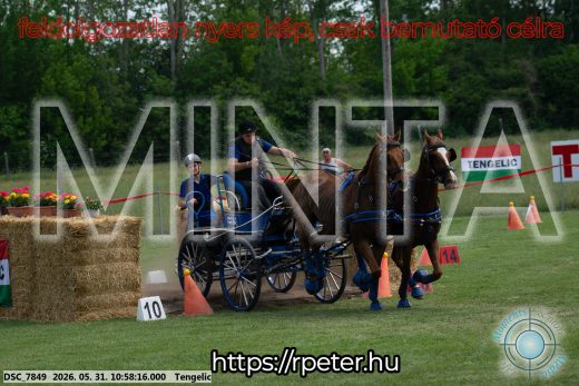 Mintakép 20260531-2595